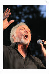 Tom Jones (2) by L. Paul Mann